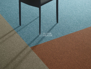 Tradition Tradition 405 фото 3 | FLOORDEALER